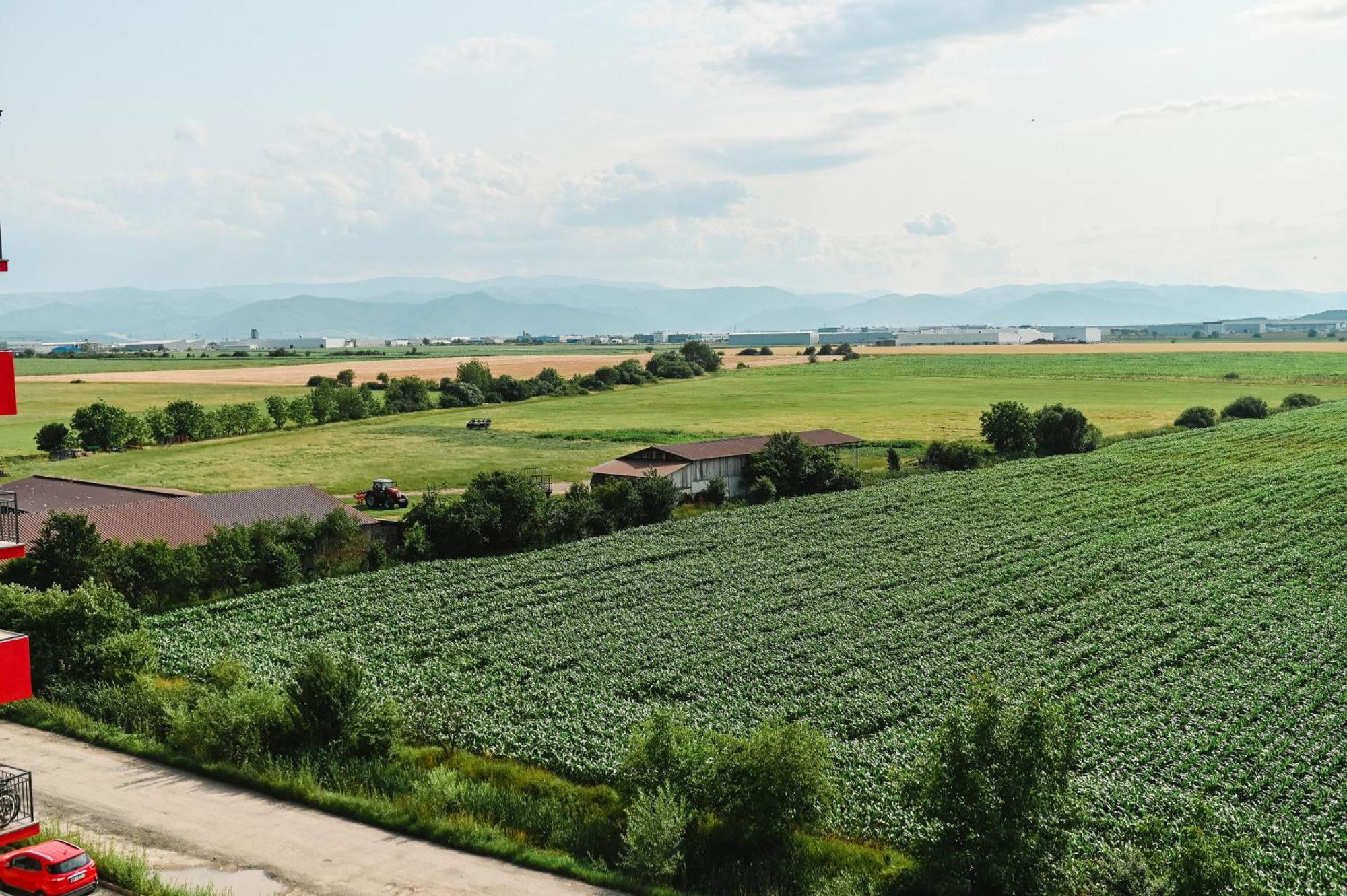 Artec Apartment Sibiu Luaran gambar